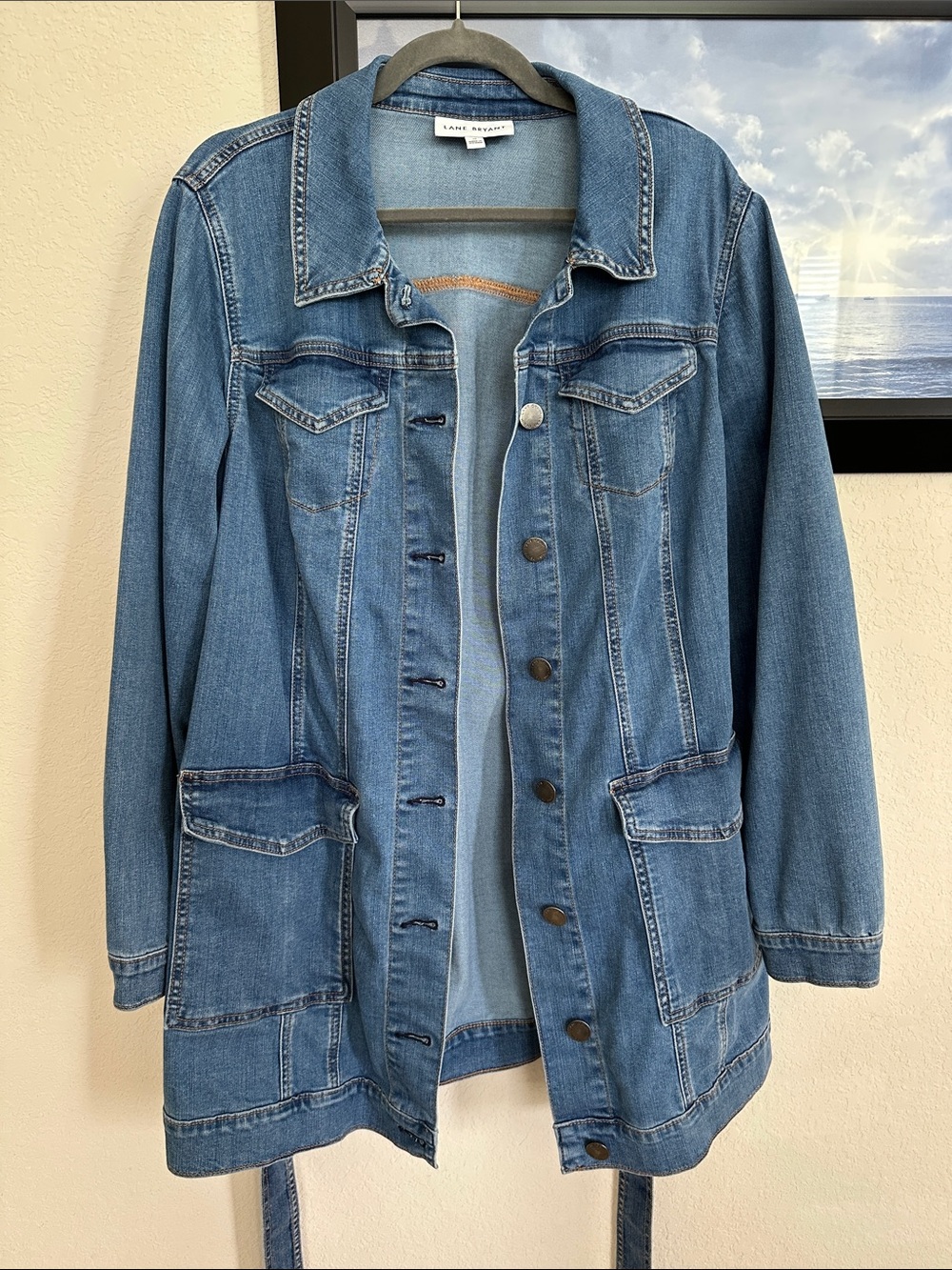 Lane Bryant Blue Denim Jacket 16W